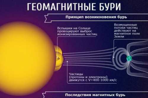 режим дня новорождённого: роль распорядка в жизни семьи